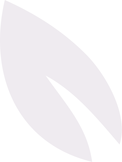 Icône feuille nature