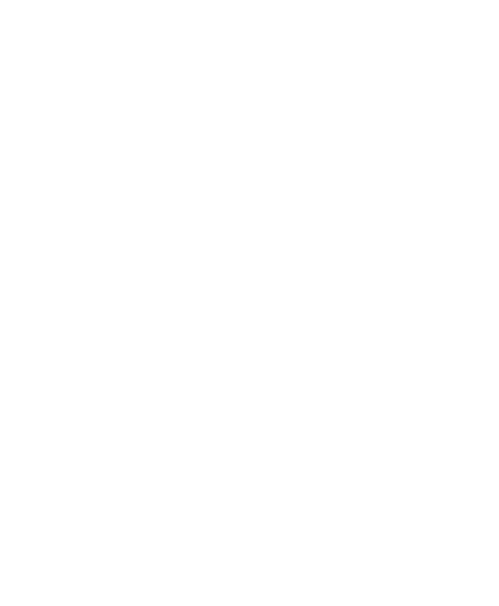 Icône